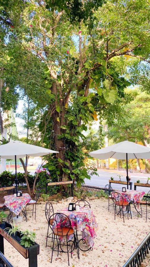 Luna Nueva Hotel-Boutique Mérida Dış mekan fotoğraf